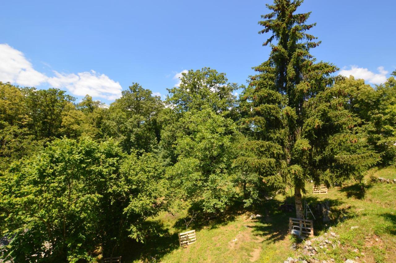 Haus Natura